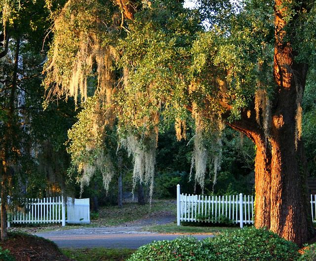 Charleston South Carolina vacation package