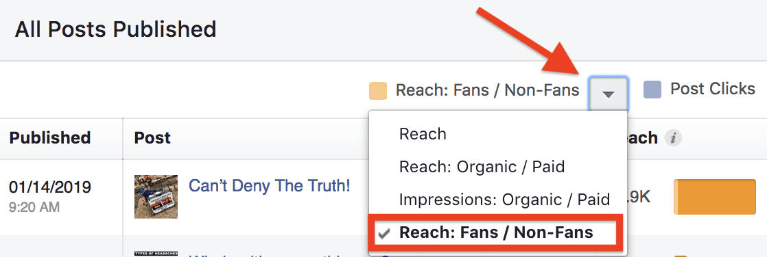 Facebook Fans
